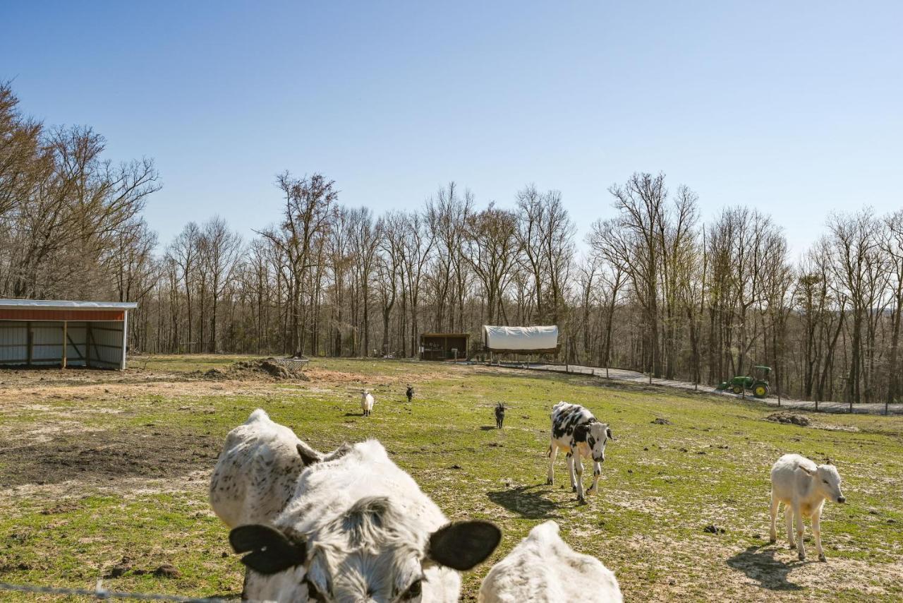 Ultimate Covered Wagon Pioneers Paradise *